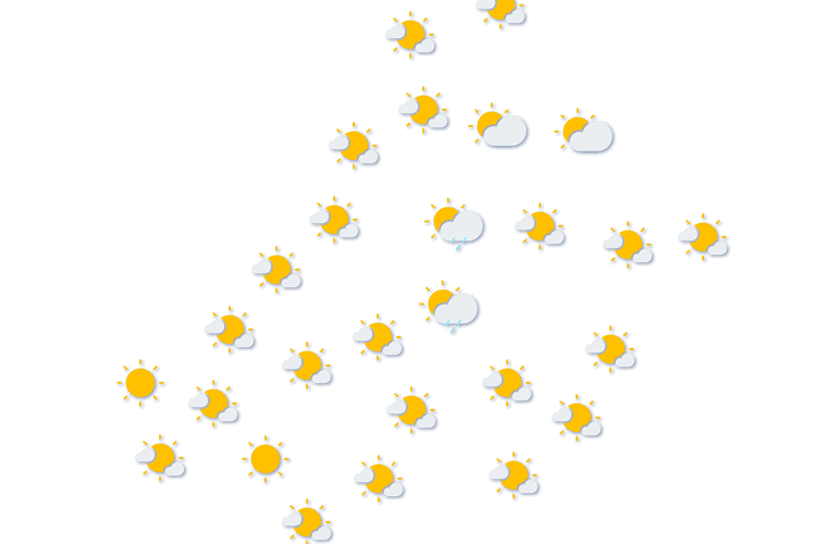 Forecast