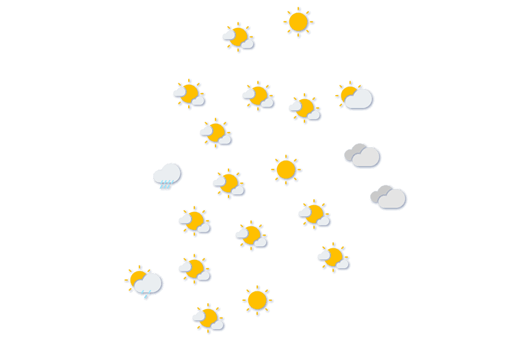 Forecast