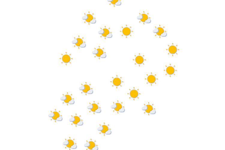 Forecast