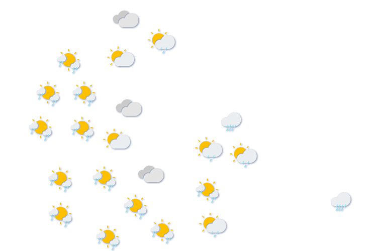 Forecast