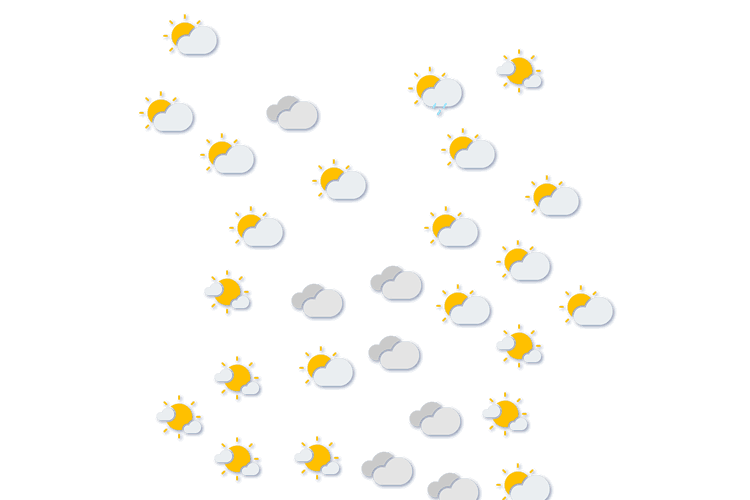 Forecast