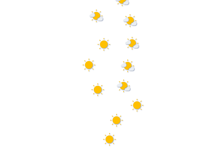 Forecast