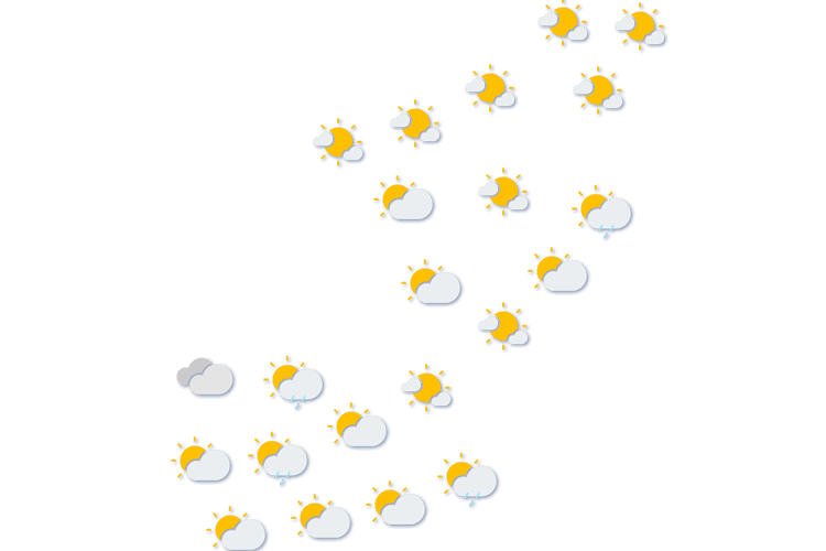 Forecast