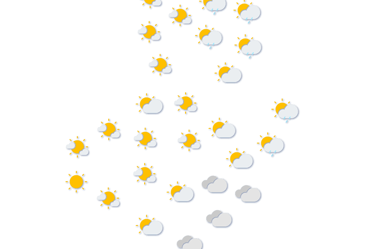 Forecast