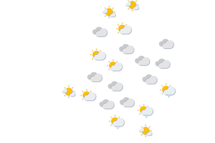 Forecast