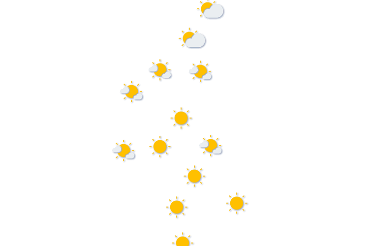 Forecast