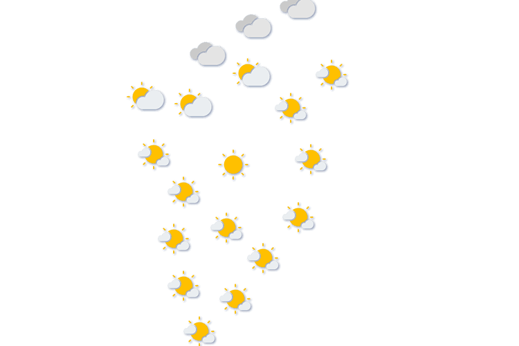 Forecast