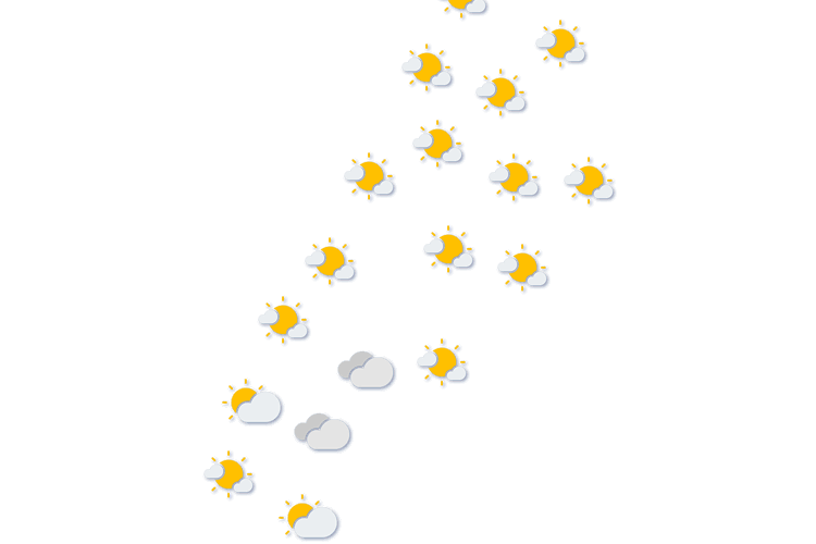Forecast