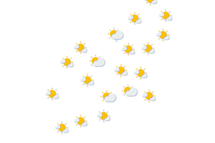 Forecast