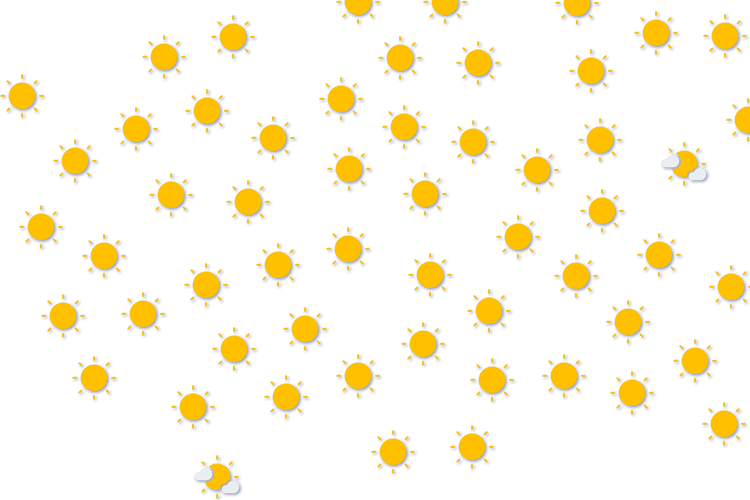 Forecast