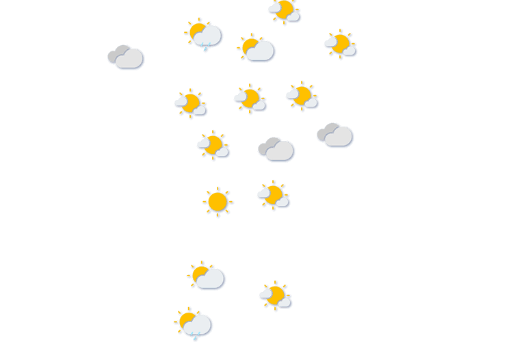 Forecast