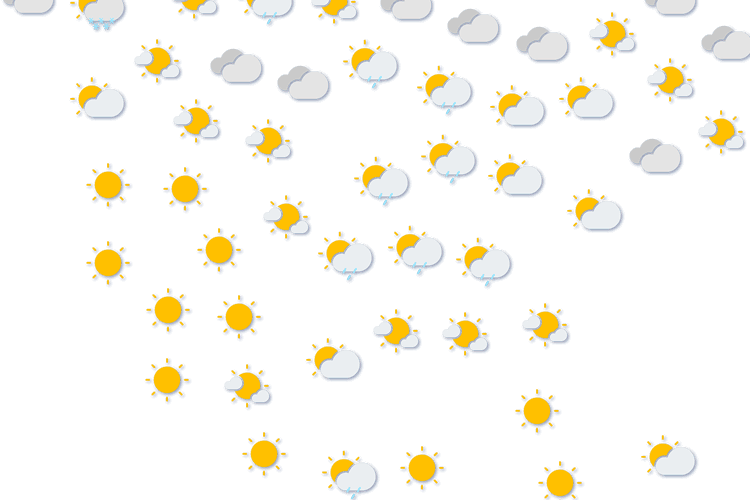 Forecast