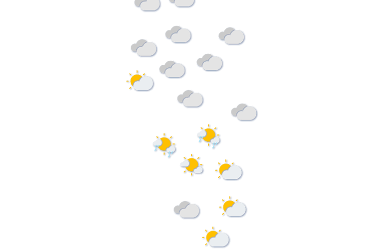 Forecast
