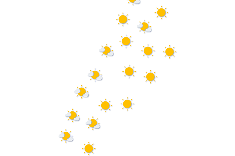 Forecast