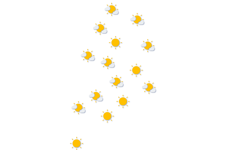 Forecast