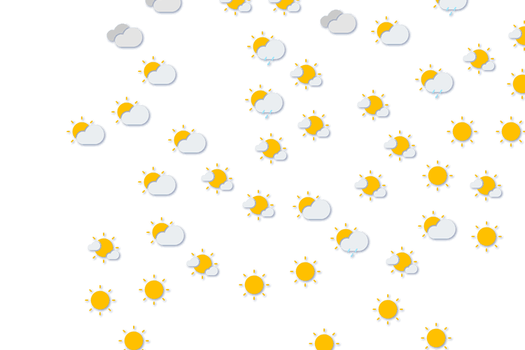 Forecast