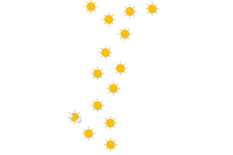 Forecast