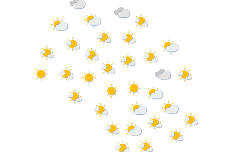 Forecast