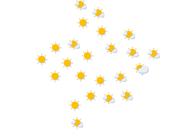Forecast