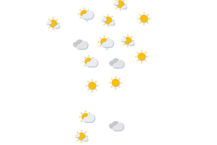 Forecast
