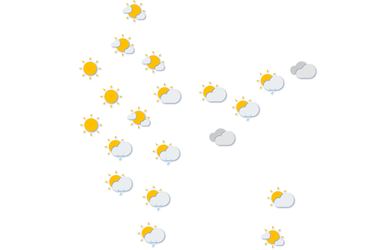 Forecast