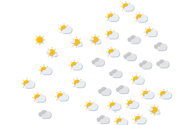 Forecast