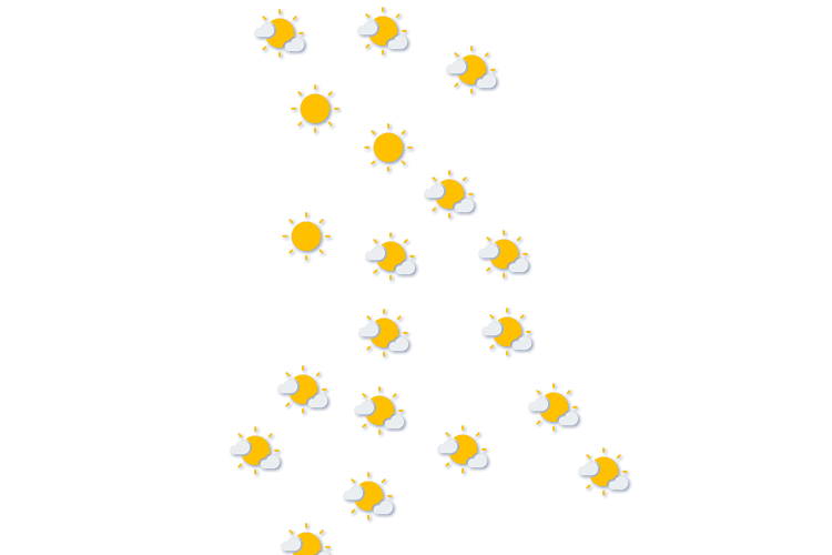 Forecast