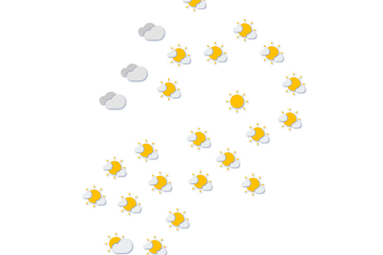 Forecast