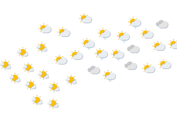 Forecast