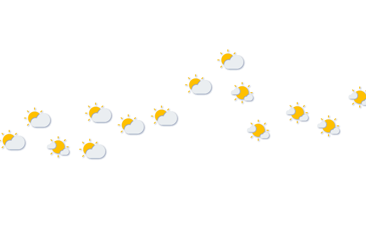 Forecast