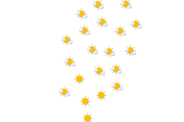 Forecast