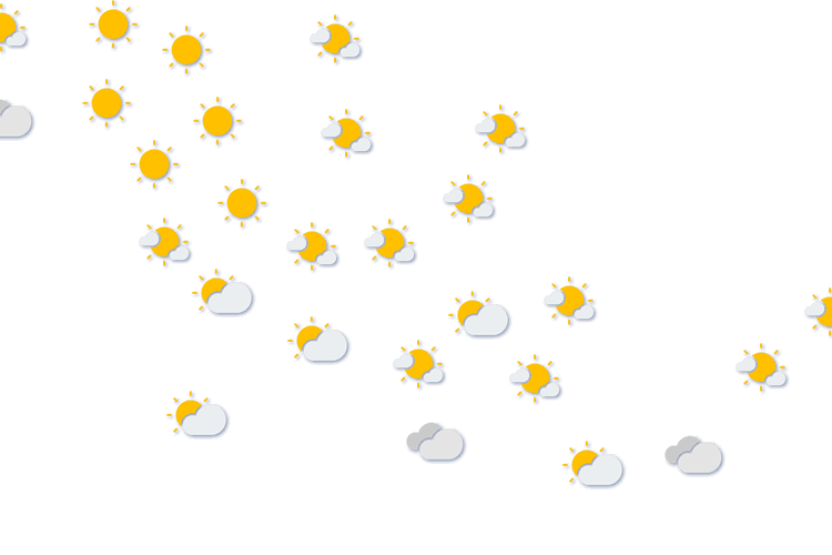 Forecast