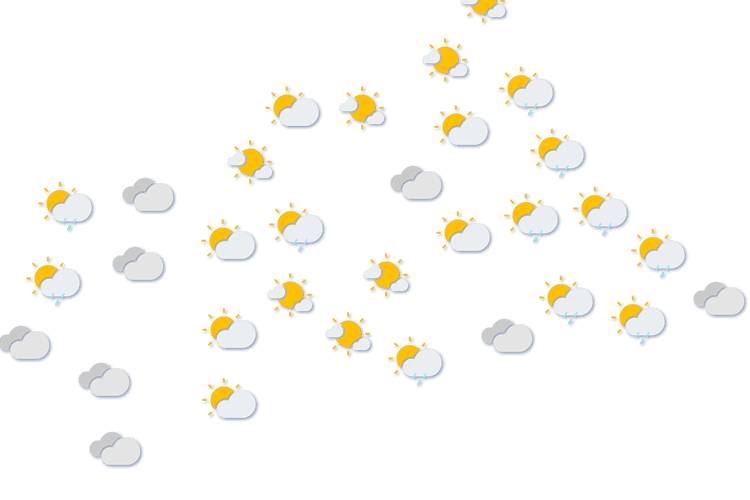 Forecast