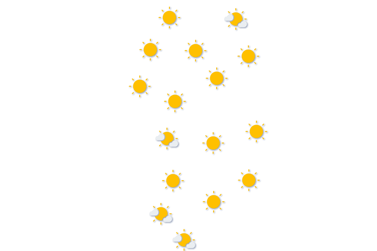 Forecast