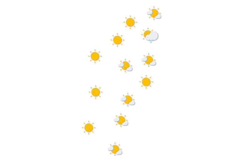 Forecast