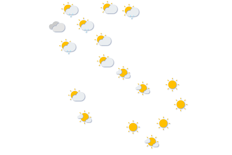Forecast