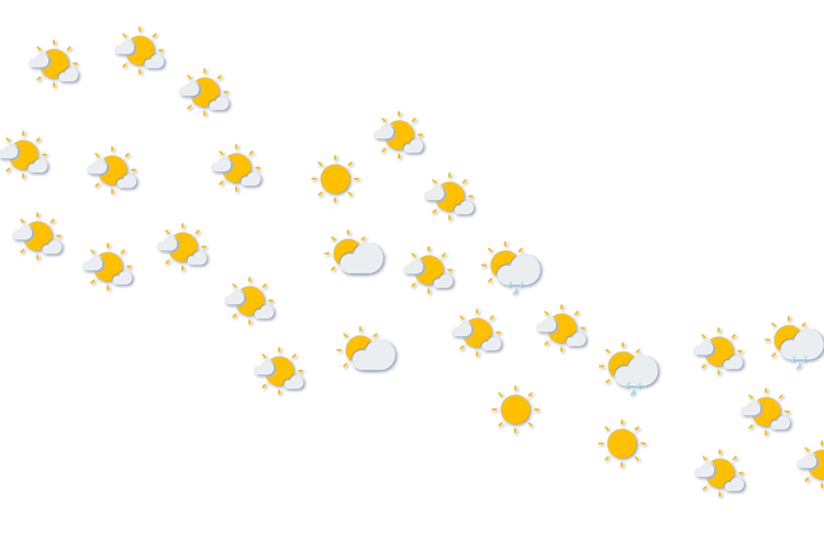 Forecast
