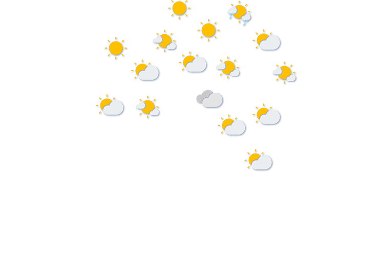 Forecast