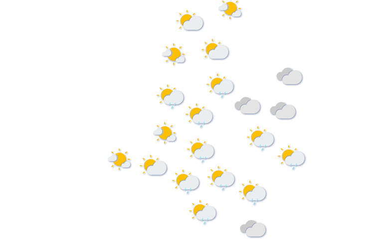 Forecast