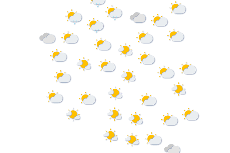 Forecast