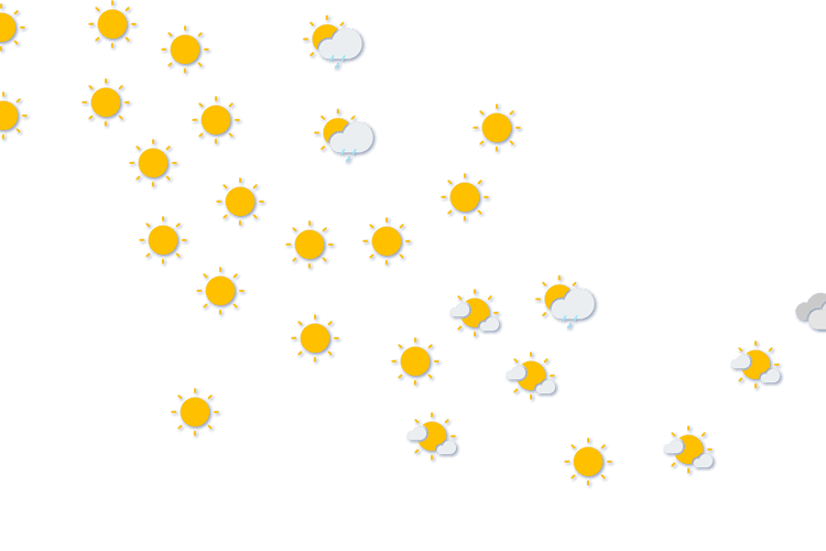 Forecast
