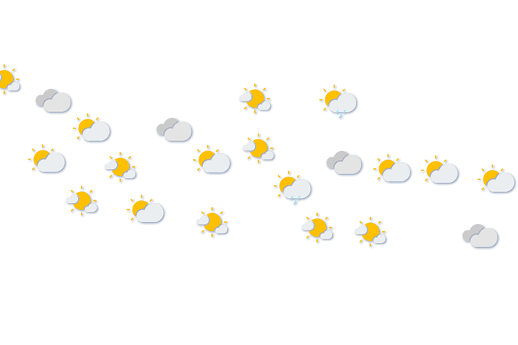 Forecast