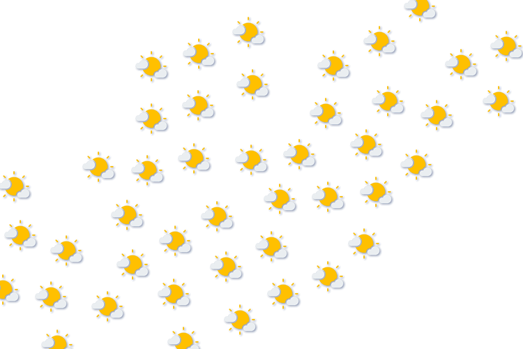 Forecast