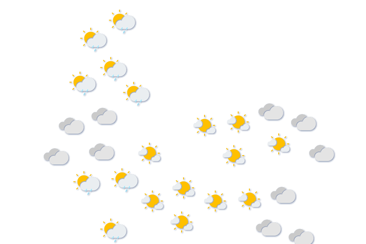 Forecast
