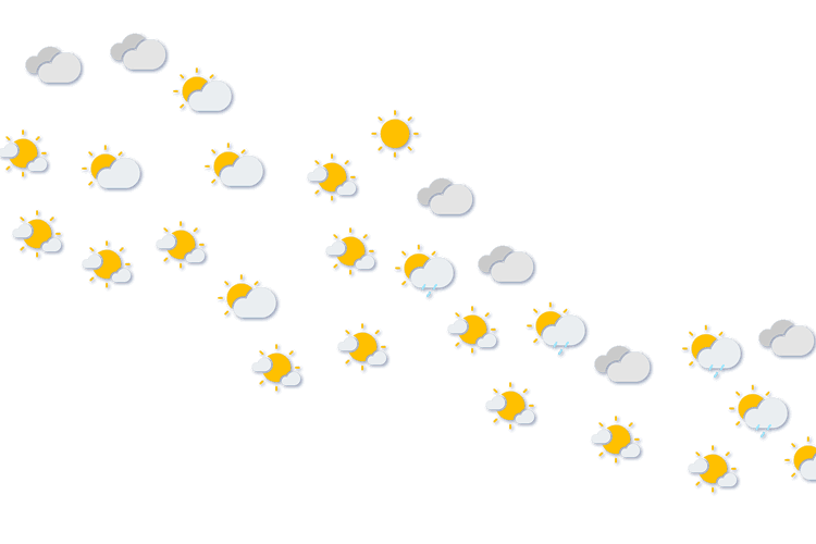 Forecast