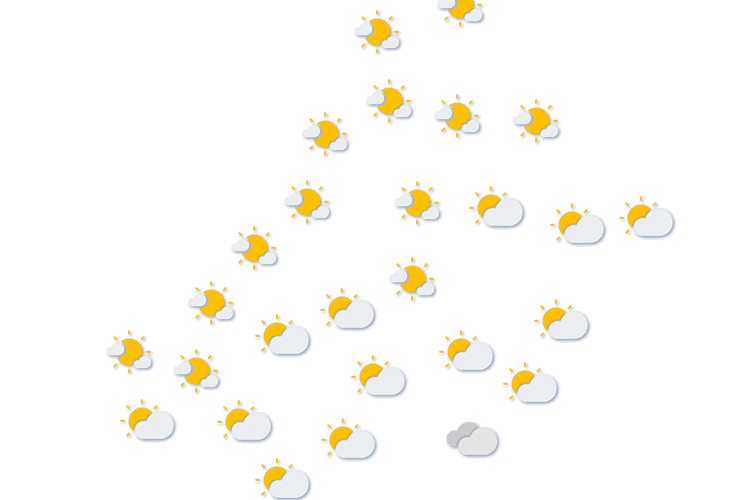 Forecast