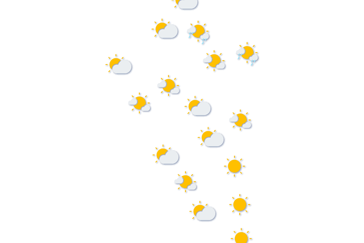 Forecast