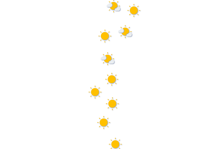 Forecast