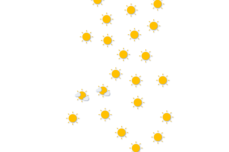 Forecast