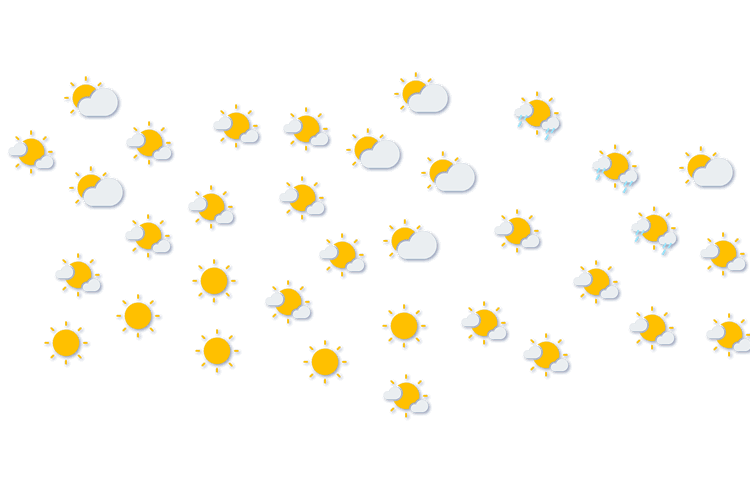 Forecast